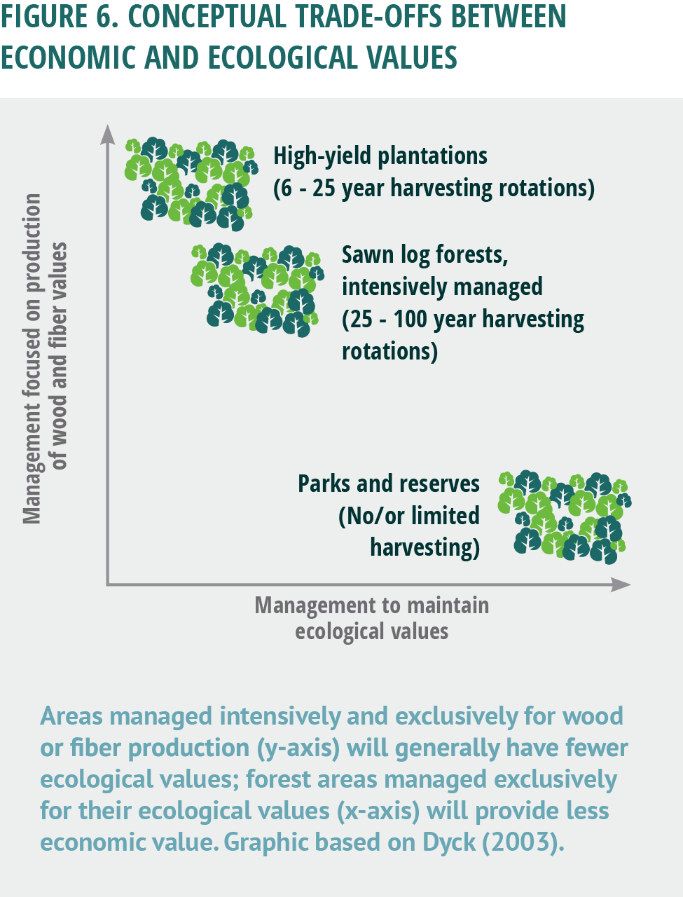 how to conserve forests in points