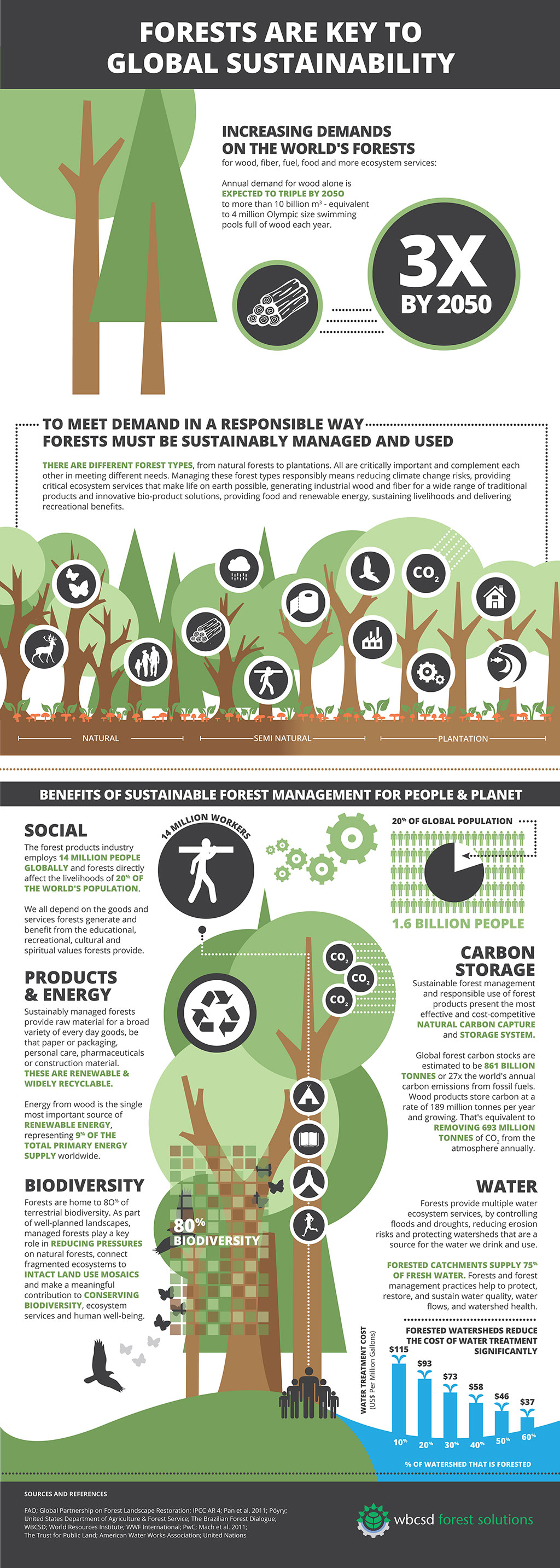 how to create a sustainable food chain for forest ecosystem: 10 key steps