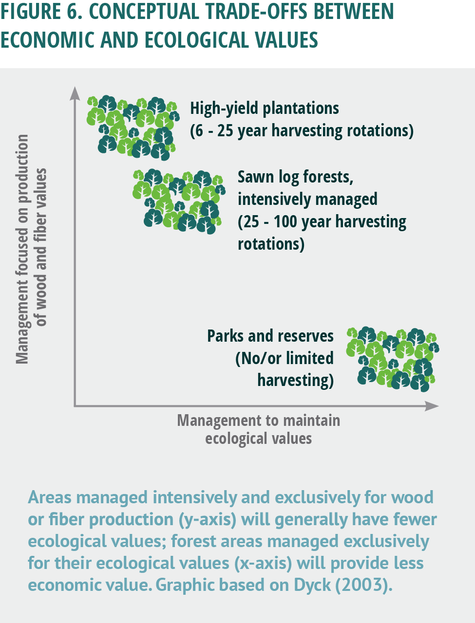 Home Sustainable Forest Products - 