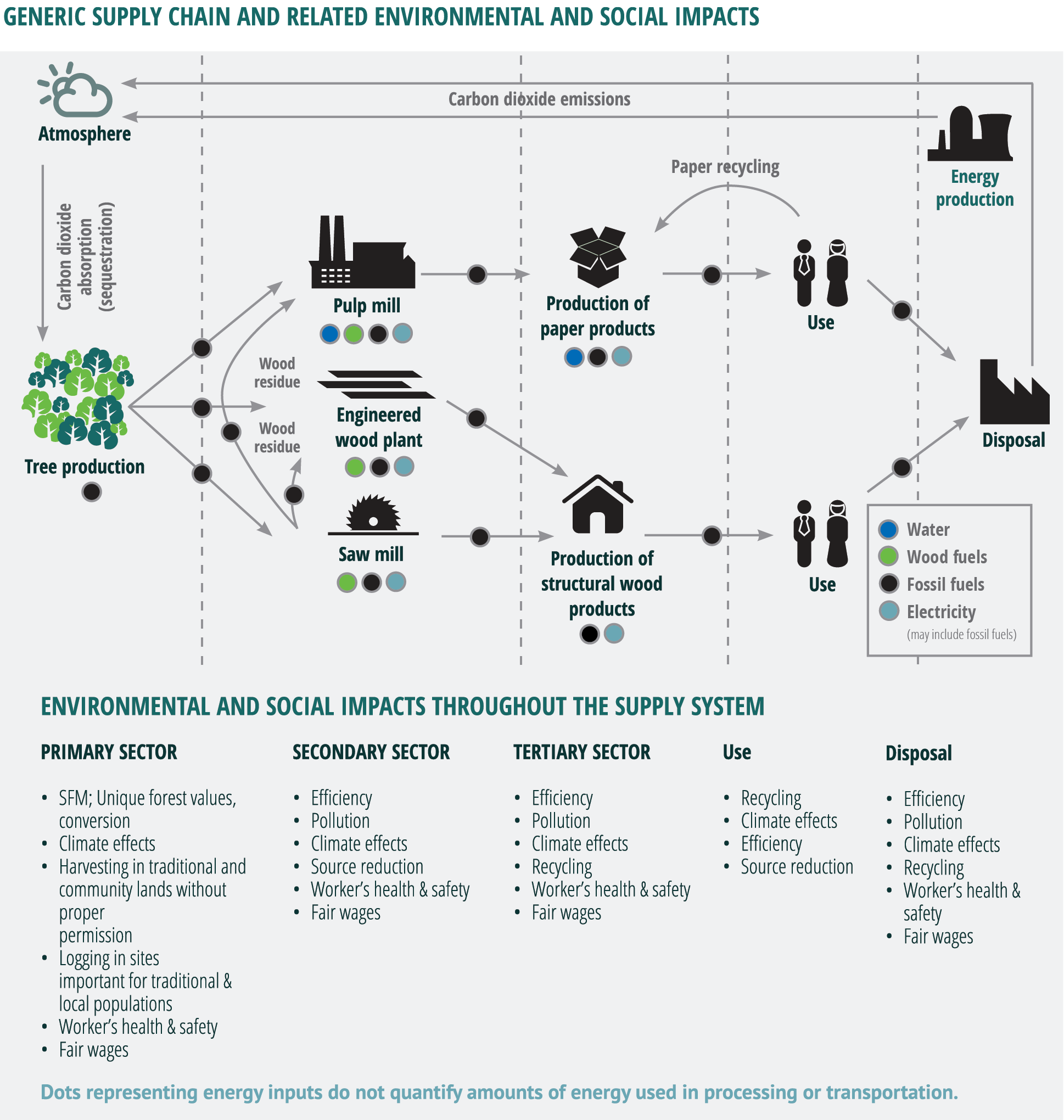 electricity 1 unit Forest Sustainable  Products  Home